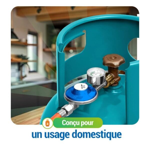 DETENDEUR DE GAZ AVEC MANOMETRE DE SECURITE - GAZ-CONTROL